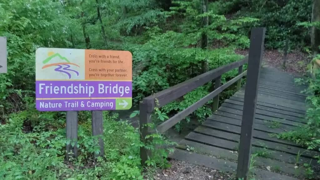 A wooden footbridge in a forested area next to a sign reading "Friendship Bridge - Nature Trail & Camping" with an arrow pointing right. The sign also has a message about friendship. Along the trail, vibrant wildflowers add pops of color to the serene landscape.