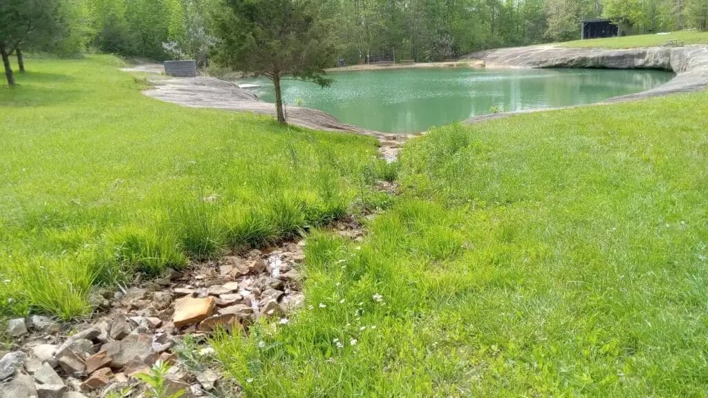 A small, rocky stream leads to a large pond surrounded by green grass and trees. The water in the pond is calm and light green, while wildflowers dot the landscape, adding bursts of color.