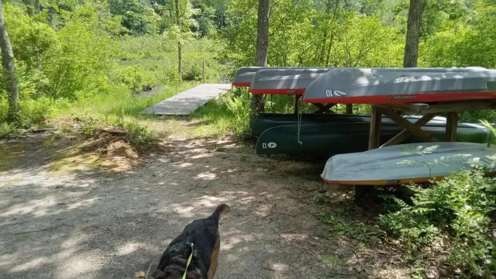 A wooded path leading to a small wooden bridge at Spacious Skies Seven Maples Campground in Hancock, NH, with several canoes and a kayak stored nearby. A dog is partially visible at the bottom of the image, hinting at moments of revelations and rejuvenation awaiting visitors.