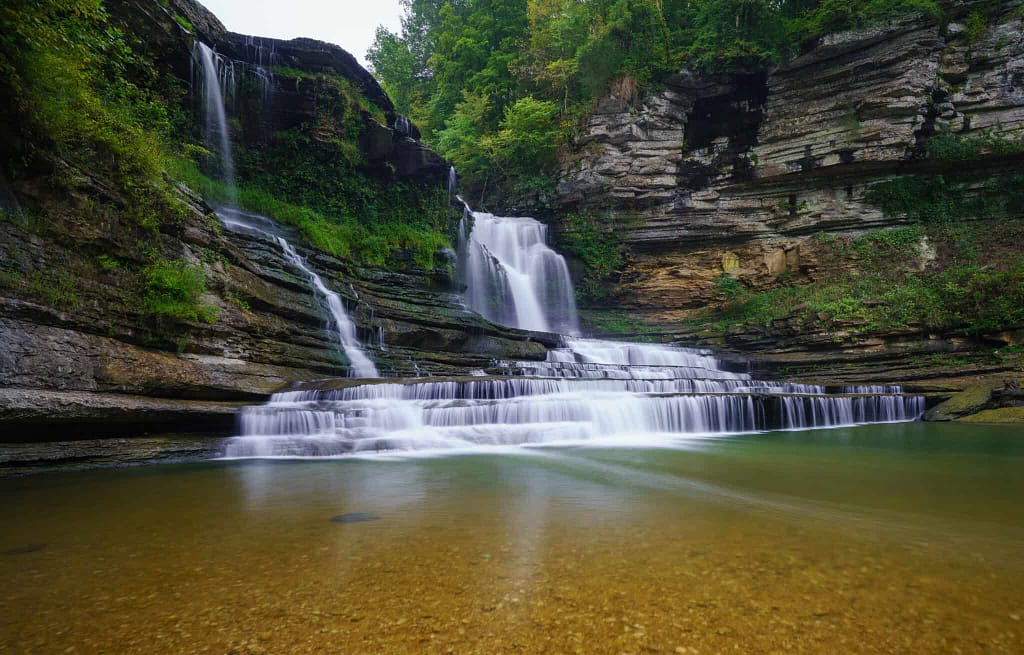 A waterfall in the middle of a blooming forest.
