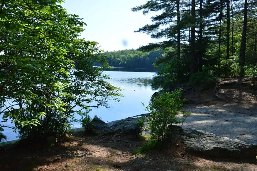 At Spacious Skies Seven Maples Campground in Hancock, NH, a serene lakeside scene unfolds with clear water, surrounded by trees and underbrush, beneath a bright sky.