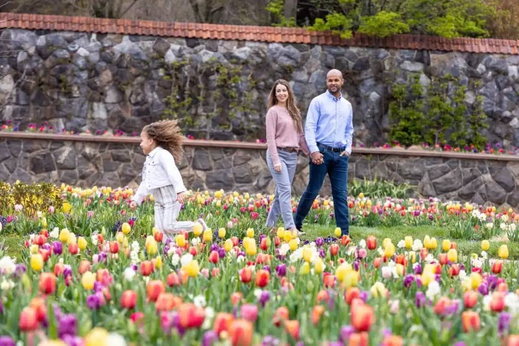 A man and woman stroll through a field of blooming tulips in Spring.