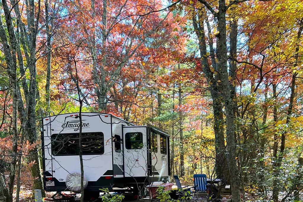 An RV parked in the woods with blooming flowers in the background.