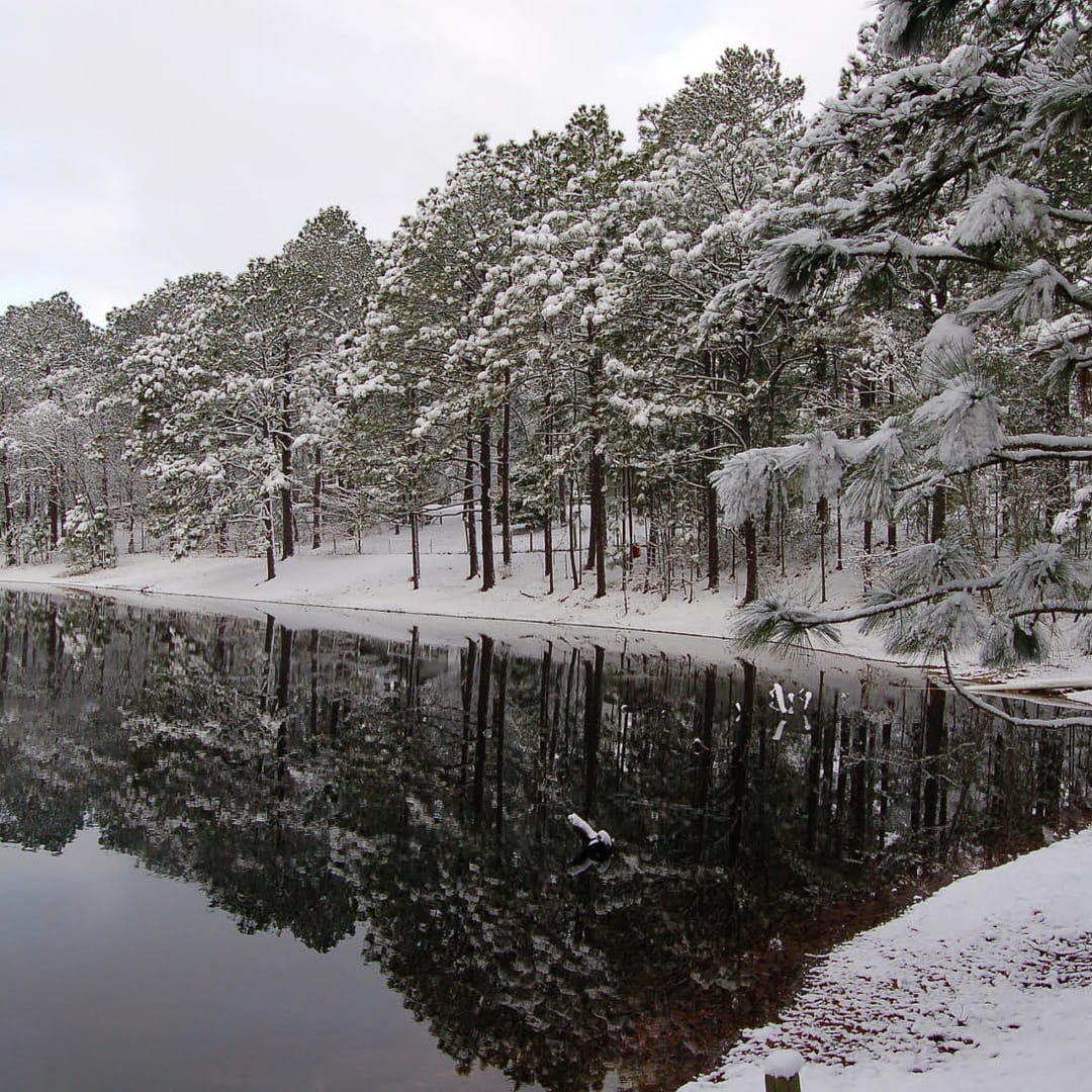 spacious skies sandy run campgrounds winter pond view in North Carolina