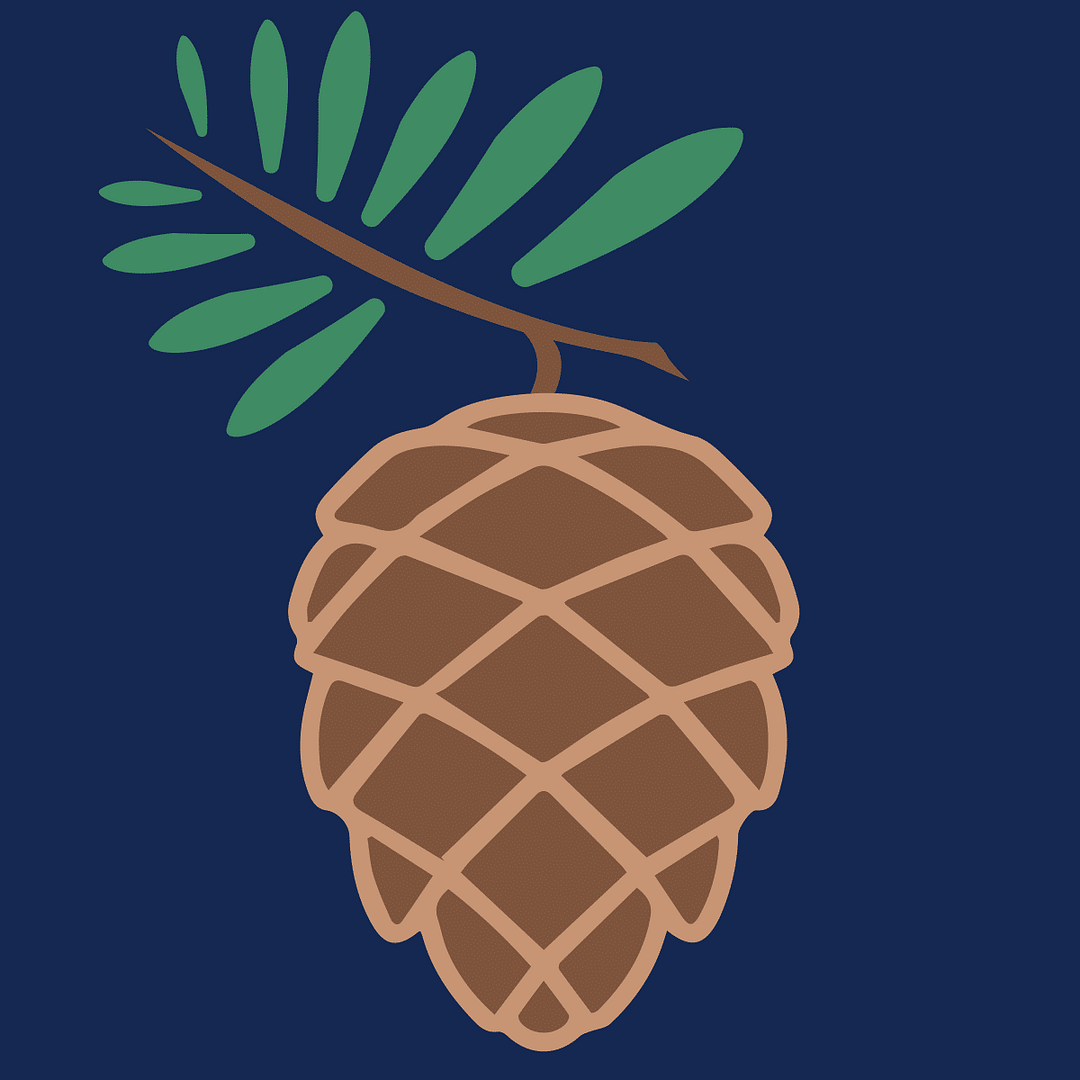 A pine cone on a blue background from Sandy Run.