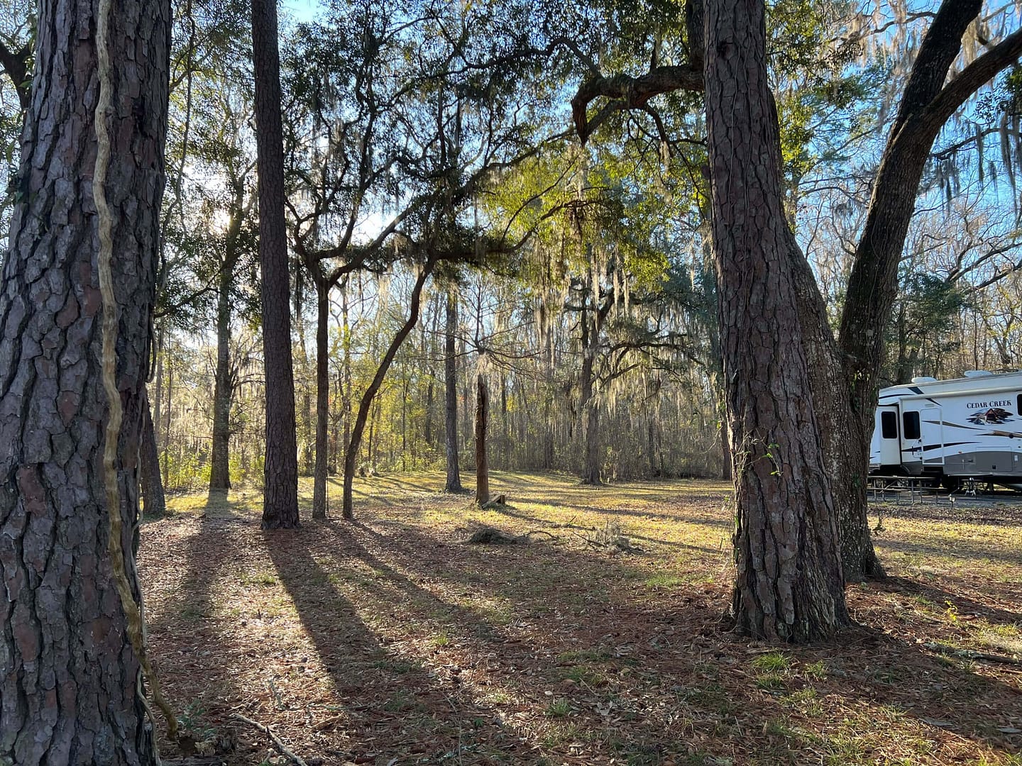 savannah oaks campground rv site 1