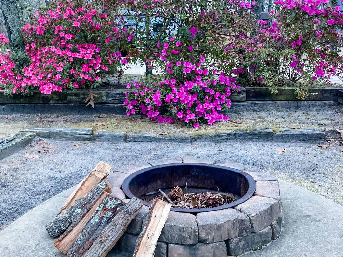 A fire pit with blooming flowers, perfect for Spring gatherings.