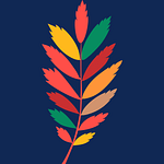 A colorful leaf on a blue background at Walnut Grove.