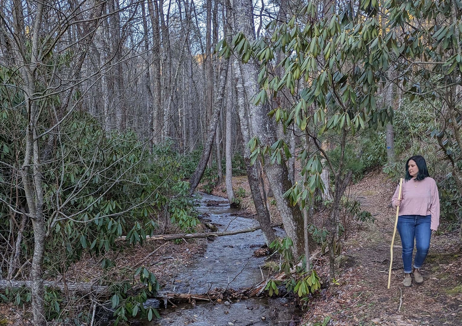 A woman walking along a stream in the woods under spacious skies.