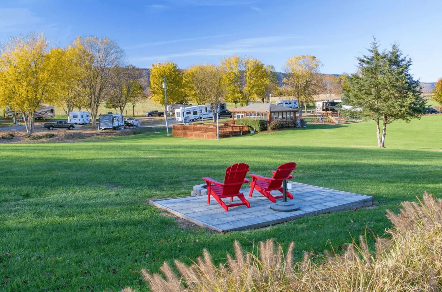 Two red chairs in a grassy gallery.