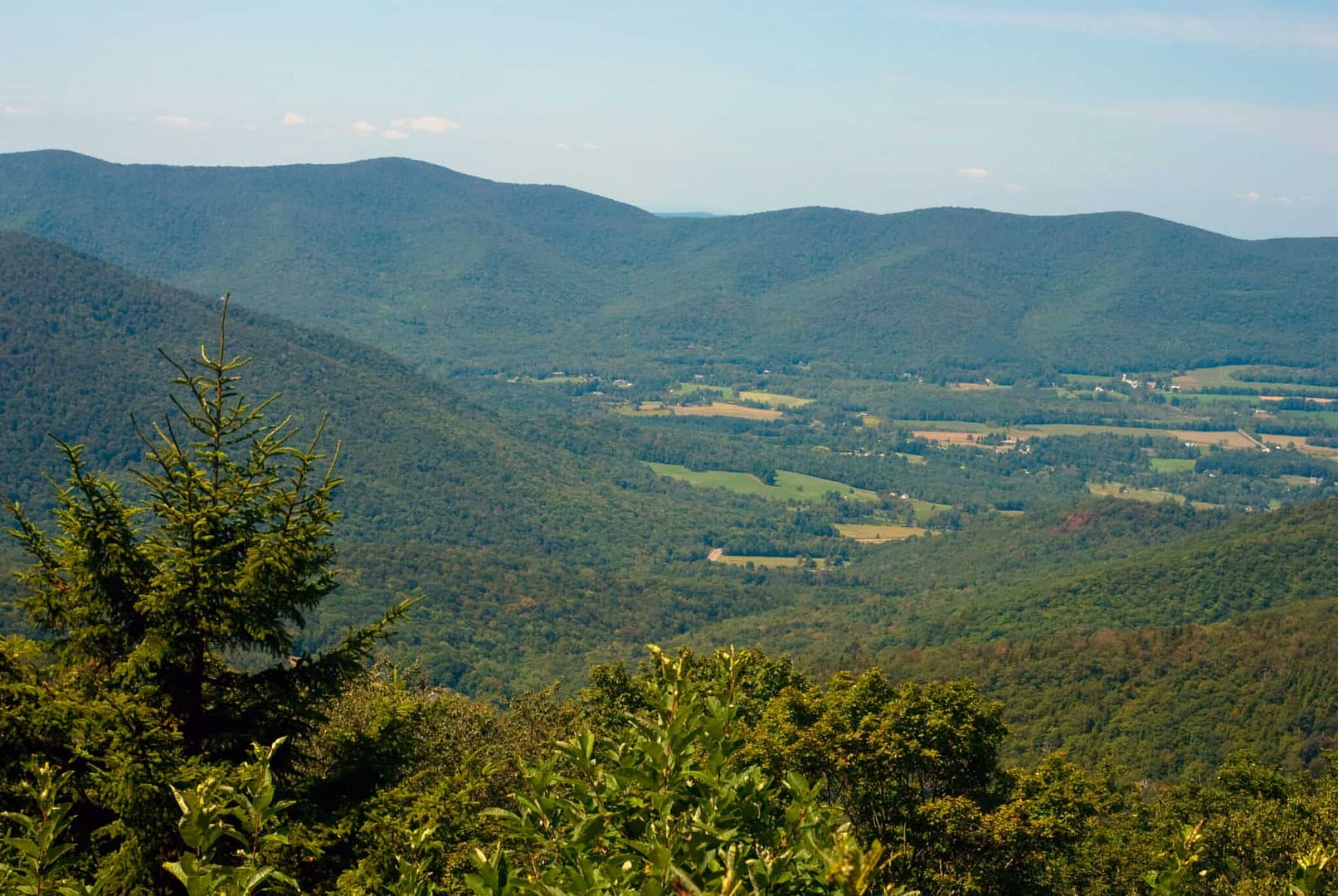 A view of a valley with Spring flowers.