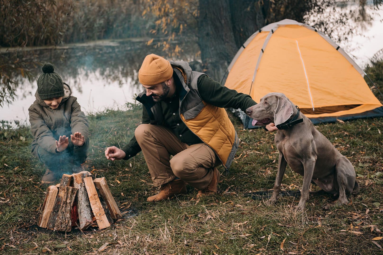 Father and son making campfire near tent with their dog