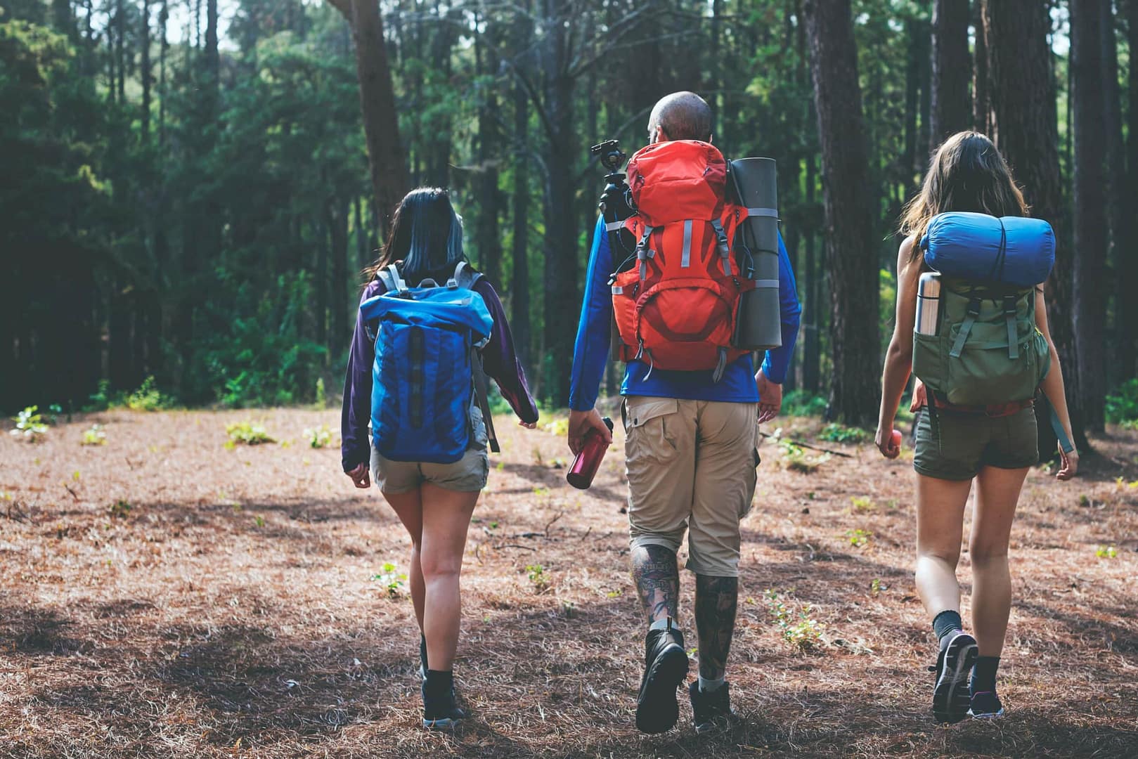 Spacious Skies Campgrounds benefits of camping blog hikers walking a trail in the woods