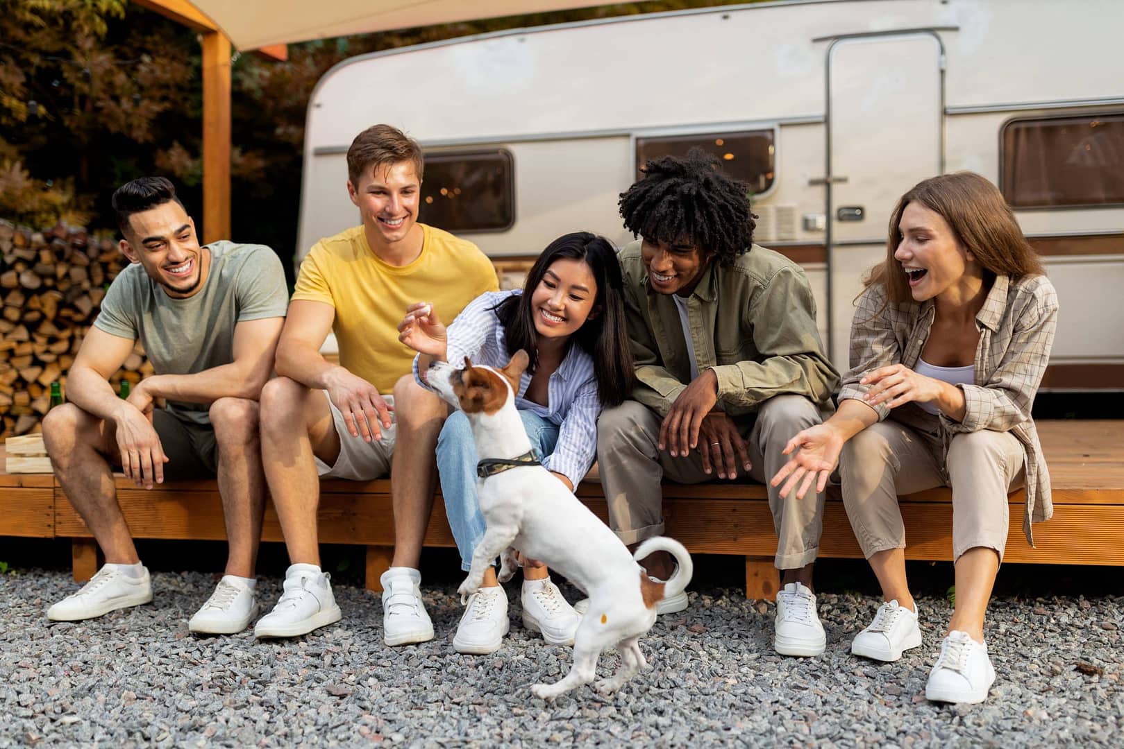 friends camping with dogs