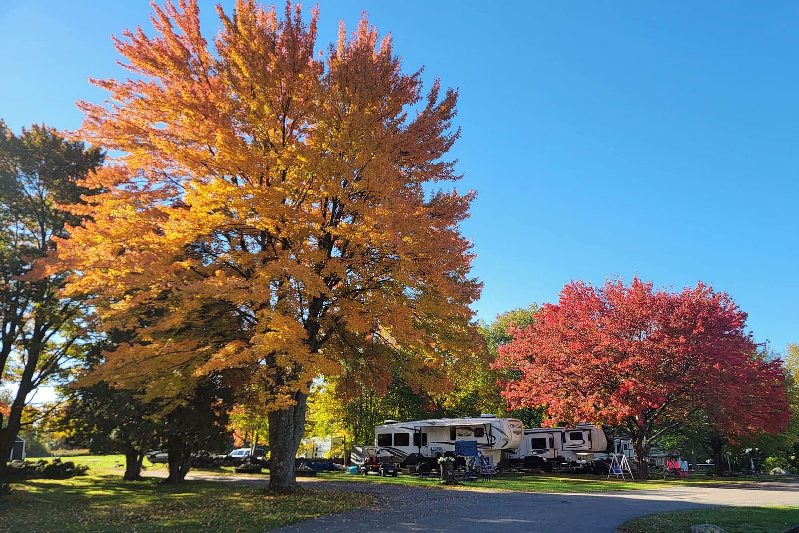 RV's parked in a campground surrounded by vibrant fall foliage.