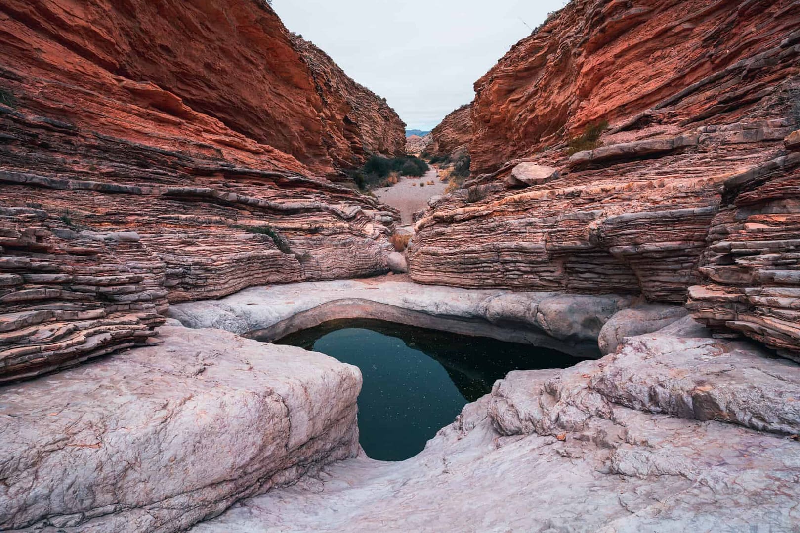 A small pool nestled in the middle of a red rock canyon, surrounded by blooming flowers.