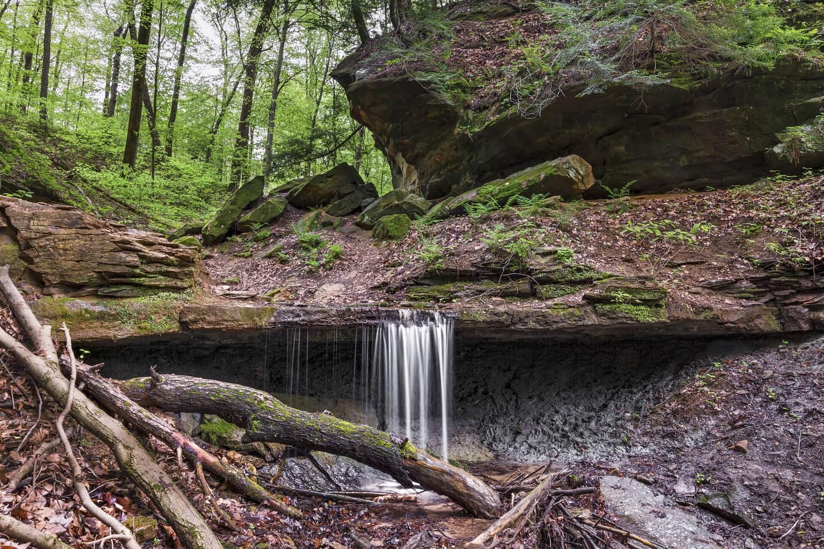 2023 Travels: Discover a breathtaking waterfall in a serene wooded area, perfect for nature lovers and outdoor enthusiasts alike.