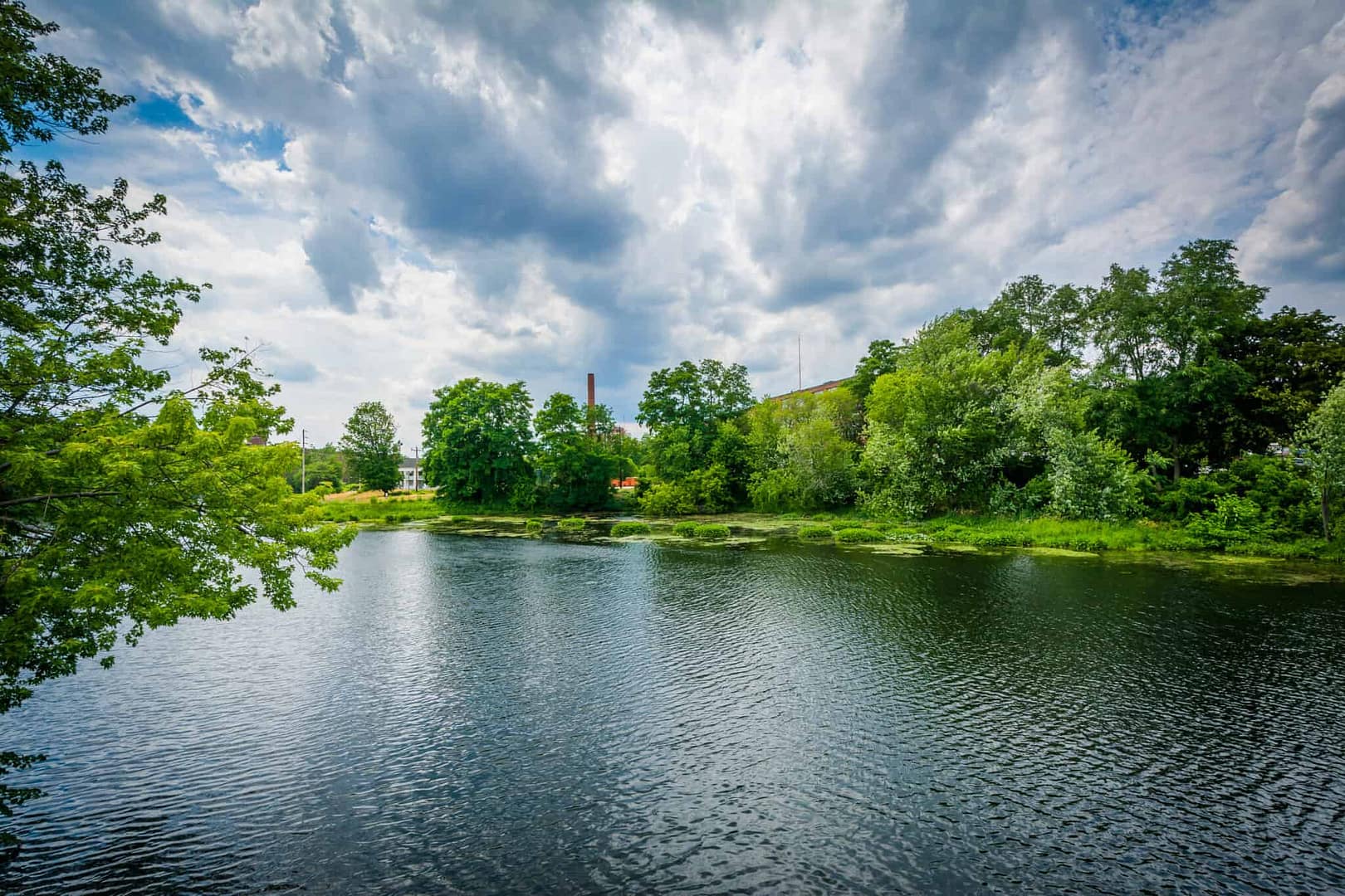 A river surrounded by trees is particularly enchanting during the spring season, with blooming flowers adding a pop of color to the tranquil scenery.