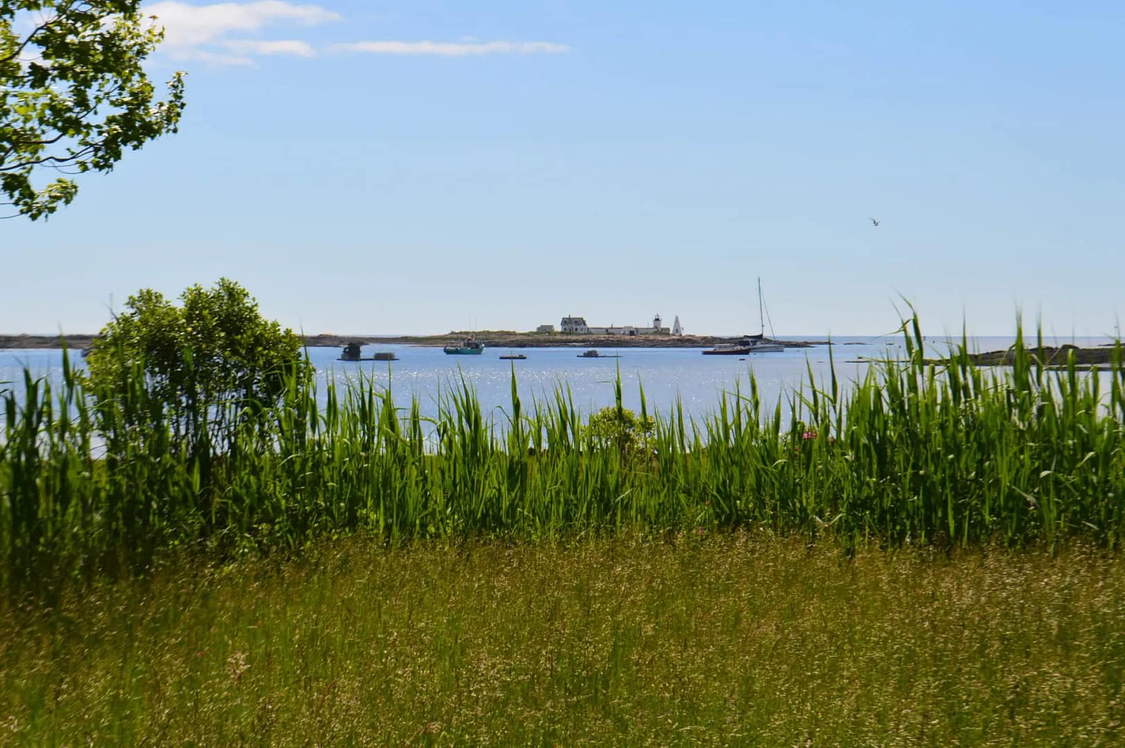 SPACIOUS SKIES WALNUT GROVE Goat Island Lighthouse