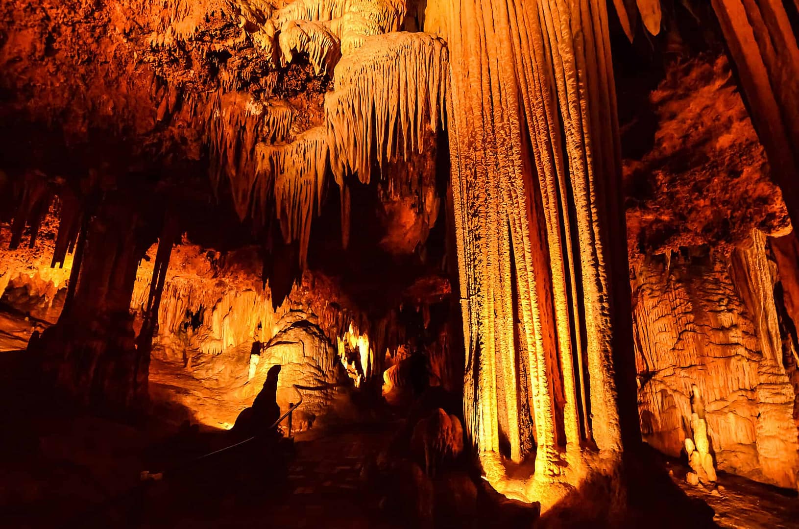 A cavern with stalactites and blooming flowers in it.