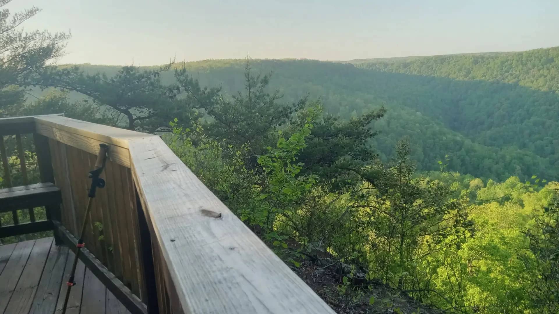 A wooden deck with railing overlooks a vast, lush green forest and distant hills under a clear sky. A hiking pole leans against the railing, resembling an auto draft of an adventure waiting to be written.