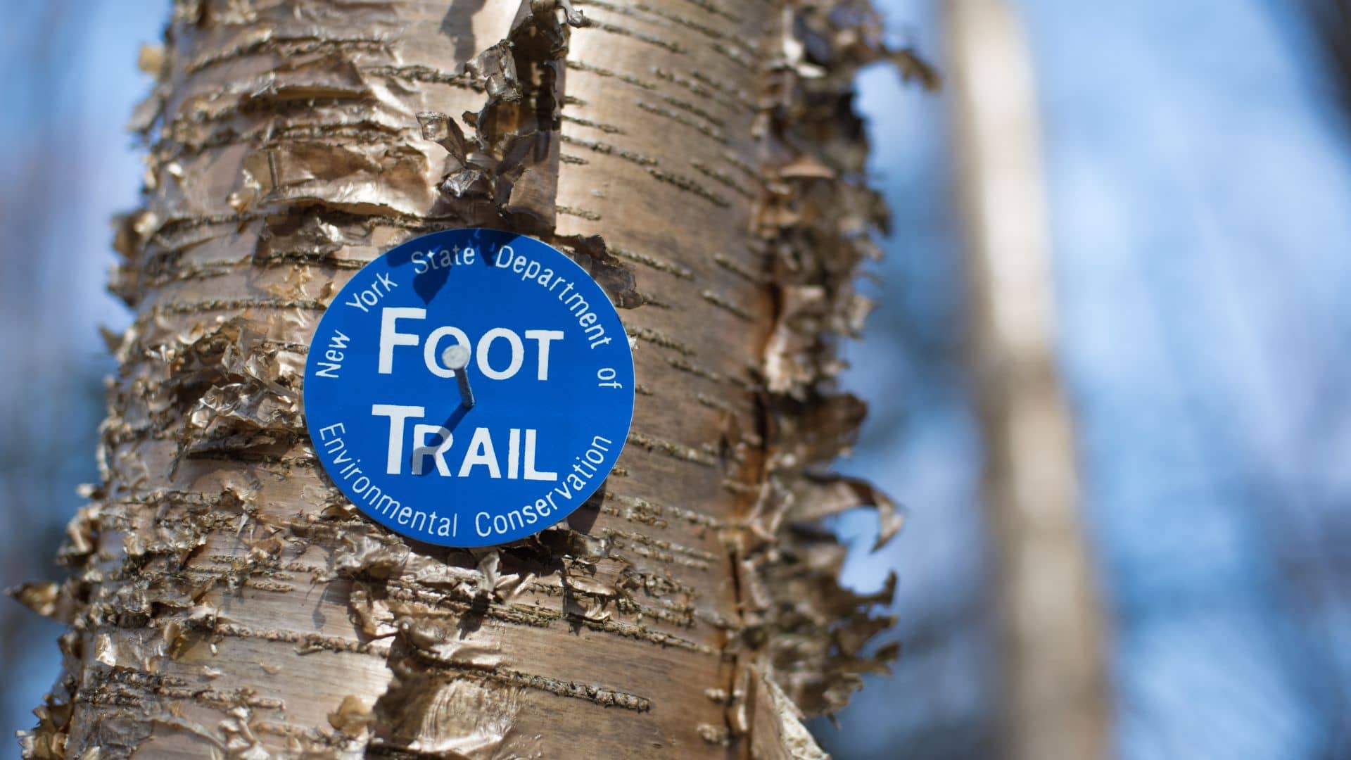Close-up of a tree trunk with a blue circular sign reading "New York State Department of Environmental Conservation Foot Trail" near North Hudson, NY. The sign is partially peeling, and the background features blurred, leafless branches against a clear sky in the beautiful Adirondack Peaks.