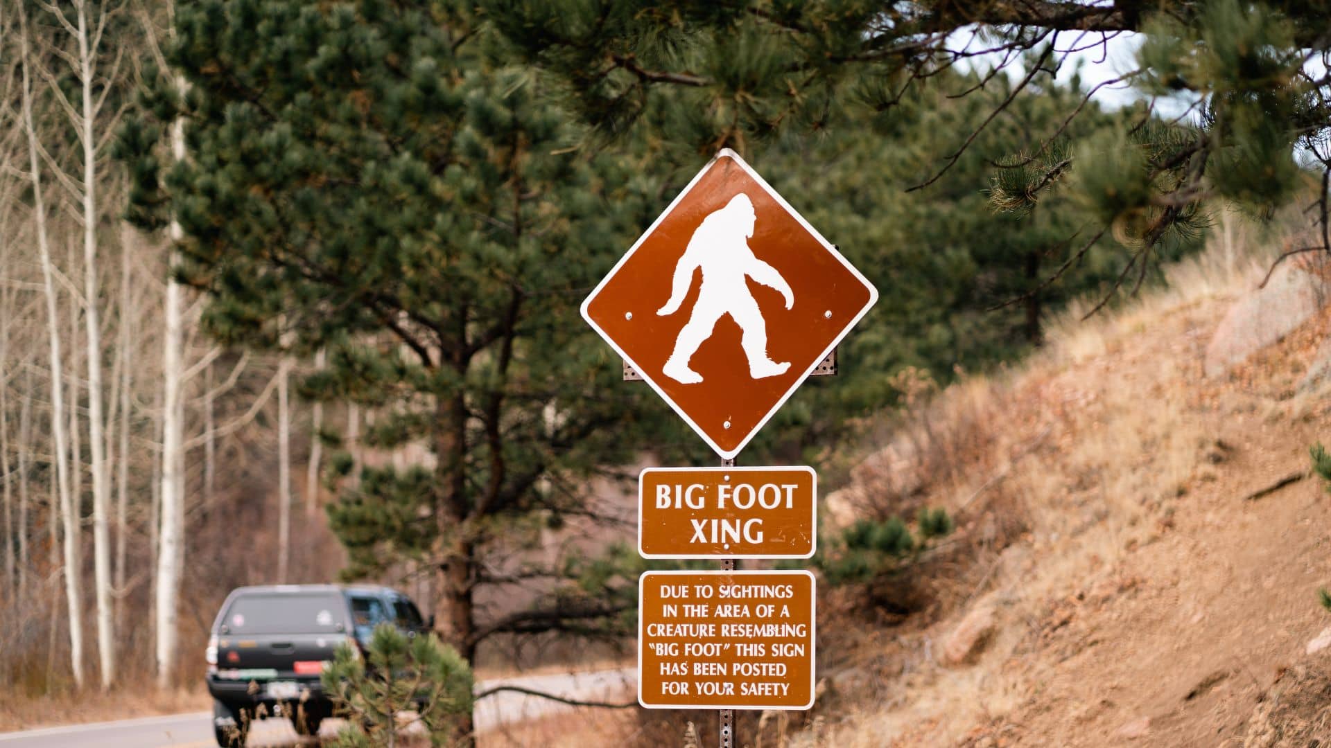 A brown caution sign with a silhouette of Bigfoot walking, labeled "Bigfoot Xing," stands beside a road winding through the wooded expanse of WNC. In the distance, a car cruises by, perhaps en route to the local festival celebrating the legendary creature.