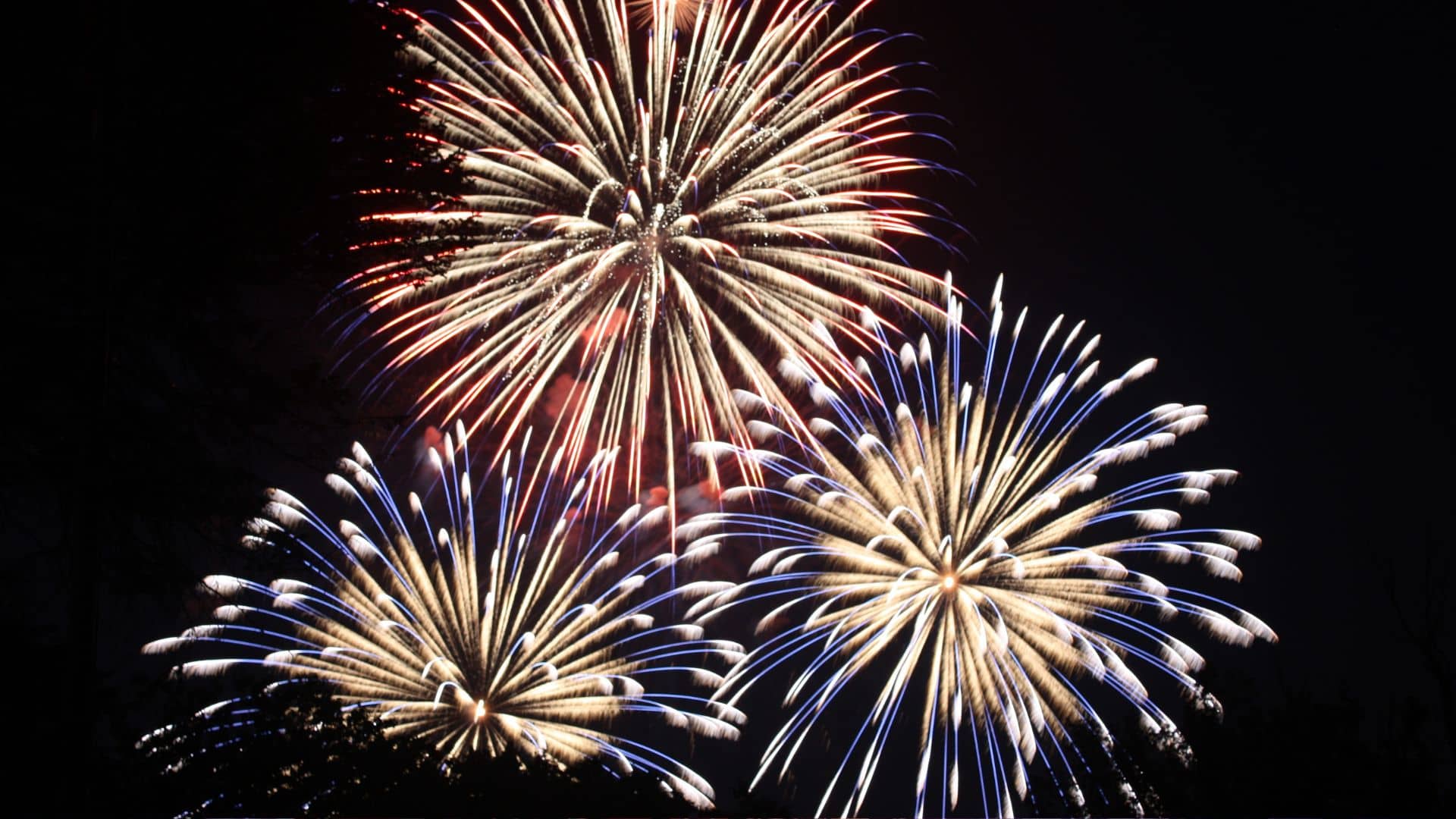 Colorful fireworks burst in the dark Monterey sky. Two large bursts with white and blue tips dominate the foreground, while a vibrant red and white explosion lights up the background, creating a festive Independence Day celebration atmosphere.