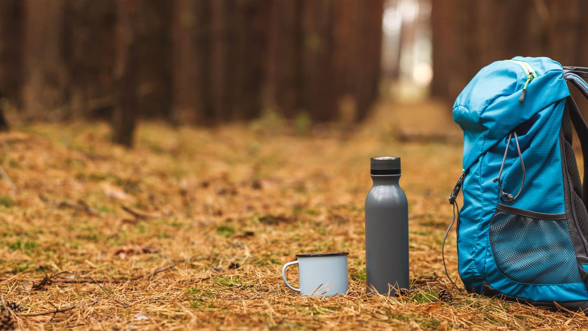A blue backpack, a gray thermos, and a white enamel mug are placed on a forest floor covered in pine needles. The background features a blurred view of tall trees, suggesting a peaceful outdoor setting.