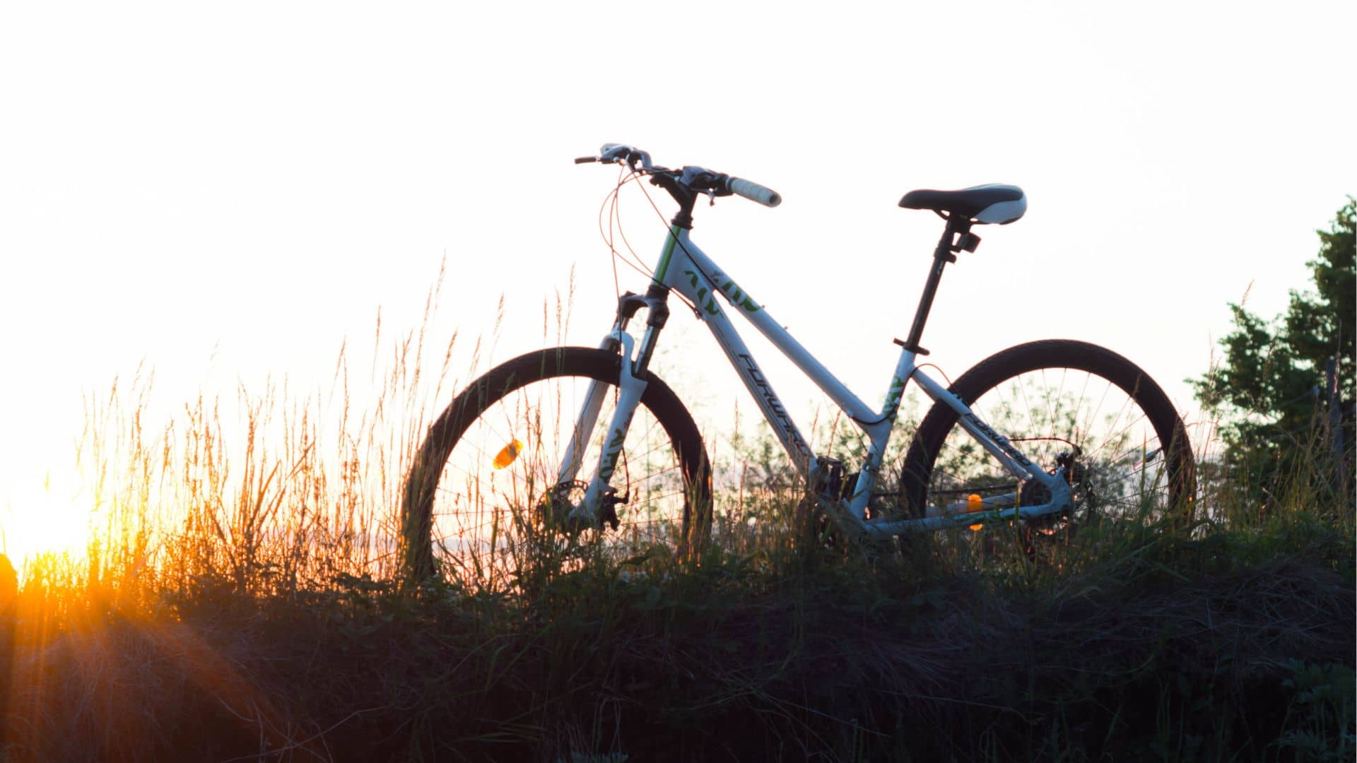 A bicycle is silhouetted against a bright sunset sky in the Berkshires, perched on a grassy hill. Tall grasses surround the bike, and sunlight peeks through from the bottom left corner, capturing the essence of biking through nature's serene beauty.