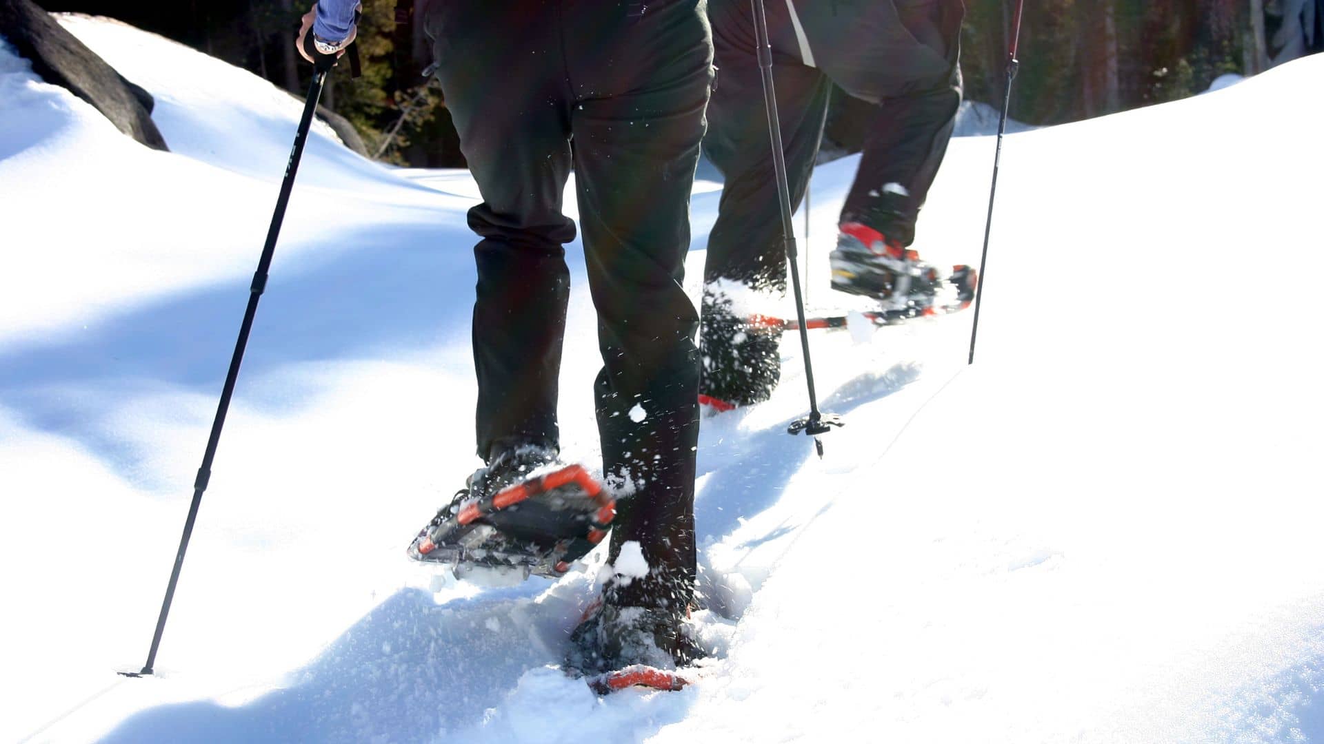 Three people trekking through deep snow with snowshoes and poles, their lower bodies visible as they move forward under bright sunlight.