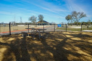 Playground 1
