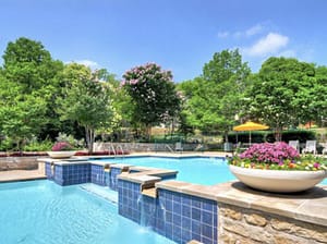 An outdoor swimming pool with blue-tiled features, large potted flowers, and trees and greenery surrounding the area under a clear blue sky.