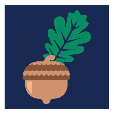 A stylized illustration of a brown acorn with a textured cap and a large green oak leaf, inspired by Country Oaks, set against the deep tones of spacious skies on a dark blue background.