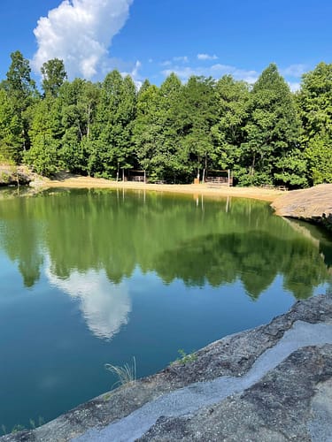 A body of water with trees in the background.