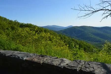 A stone wall overlooks a lush, green mountain landscape under the spacious skies of Shenandoah Views. Sparse trees are visible in the foreground, all framed by a clear blue sky.
