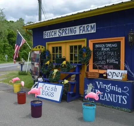 A small roadside stand with signs for "Beech Spring Farm," "fresh eggs," and "Virginia peanuts" stands proudly against the backdrop of Shenandoah Views. Decorated with an American flag, wreaths, and pink flamingo lawn ornaments, it captures the charm of Blue Ridge beauty.