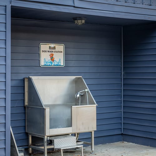 A stainless steel dog wash station with a hose and steps is set against a blue paneled wall under a sign that reads "Dog Wash Station.