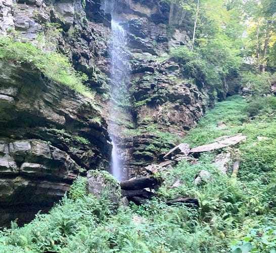 A waterfall in a forest.
