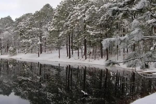 A gallery of a lake with snow-covered trees.
