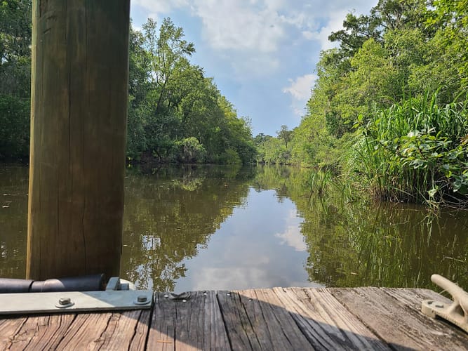 A wood dock with trees and water.
