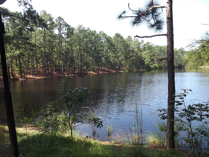 A lake with trees in the background.