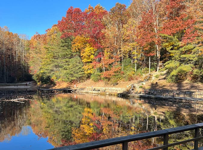 A pond surrounded by fall colored trees, creating a serene setting.