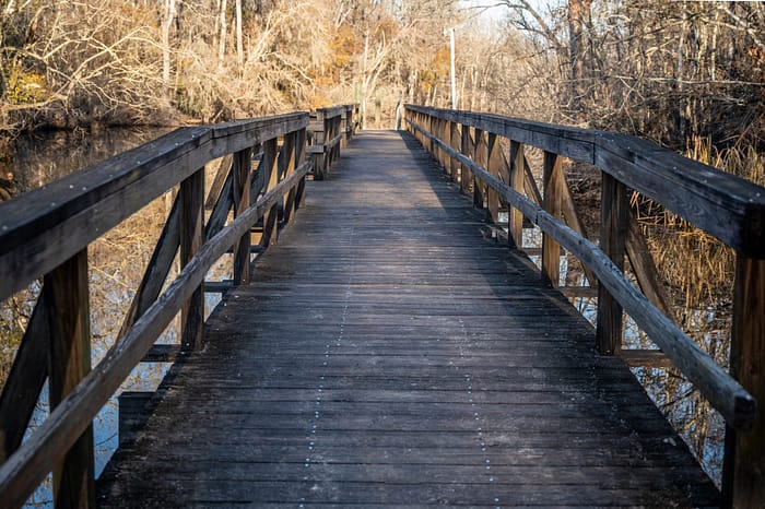 A wooden footbridge extends over a calm body of water, surrounded by leafless trees on a sunny autumn or winter day.
