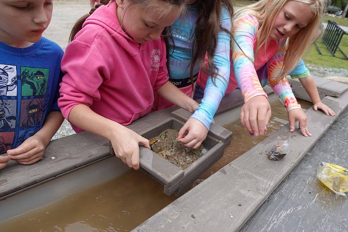 A group of girls looking at something in a pond.