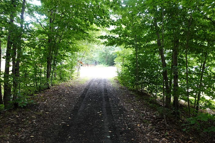 A dirt road surrounded by trees in a wooded area.