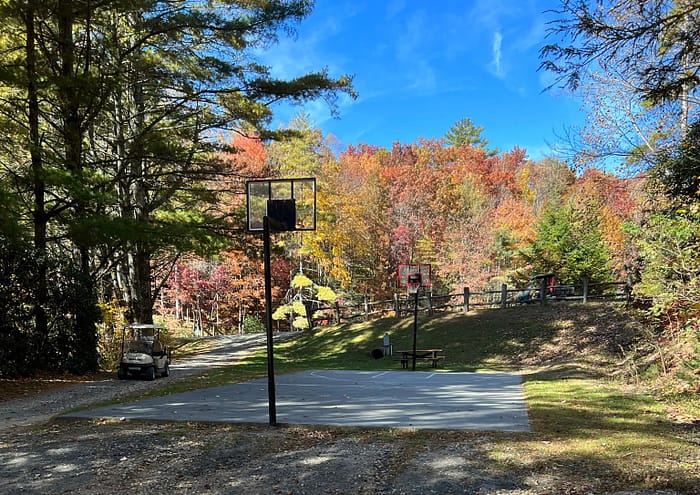 A basketball court in the middle of a wooded area.