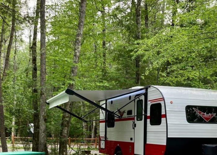 Recreational vehicle parked in a lush forest clearing with an awning extended.
