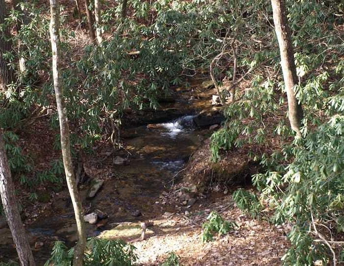 A stream in the woods.