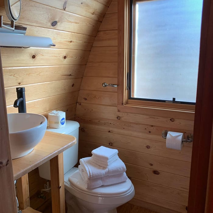 A bathroom with a toilet and sink.